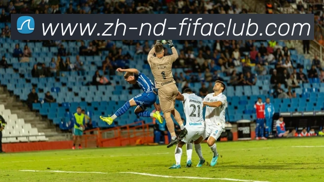 多媒体互动体验